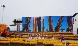 南京近期爆料新闻视频最新,神秘事件视频引发网友热议